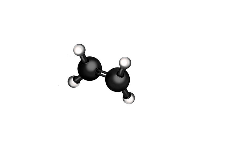 3d image of an ethene molecule